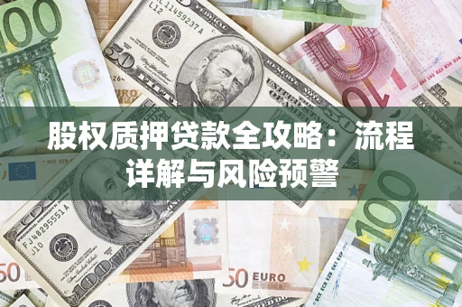 武汉股权质押贷款全攻略：流程详解与风险预警