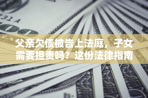 武汉父亲欠债被告上法庭，子女需要担责吗？这份法律指南必须看完