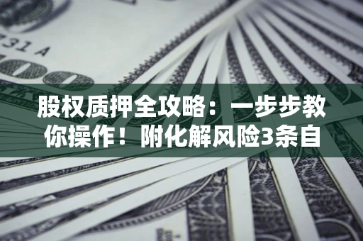 武汉股权质押全攻略：一步步教你操作！附化解风险3条自救法则