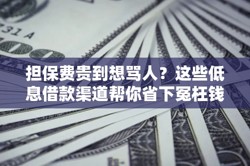武汉担保费贵到想骂人？这些低息借款渠道帮你省下冤枉钱