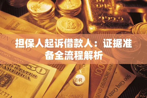 武汉担保人起诉借款人：证据准备全流程解析