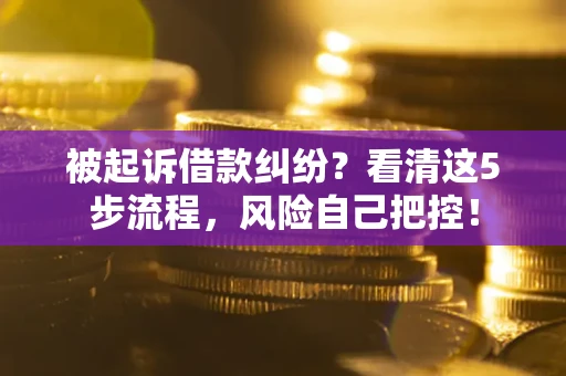 武汉被起诉借款纠纷？看清这5步流程，风险自己把控！