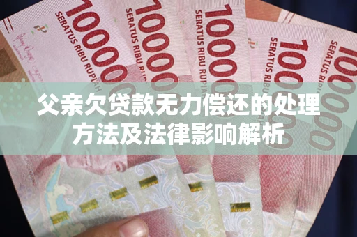 武汉父亲欠贷款无力偿还的处理方法及法律影响解析