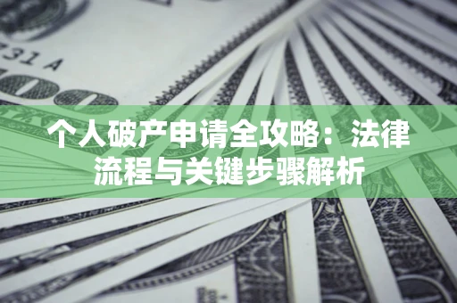 武汉个人破产申请全攻略：法律流程与关键步骤解析