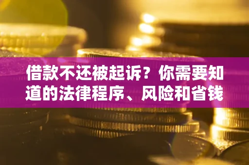 武汉借款不还被起诉？你需要知道的法律程序、风险和省钱技巧