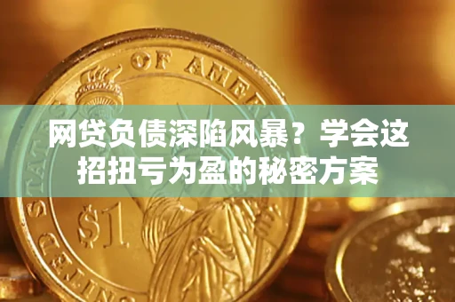 武汉网贷负债深陷风暴？学会这招扭亏为盈的秘密方案