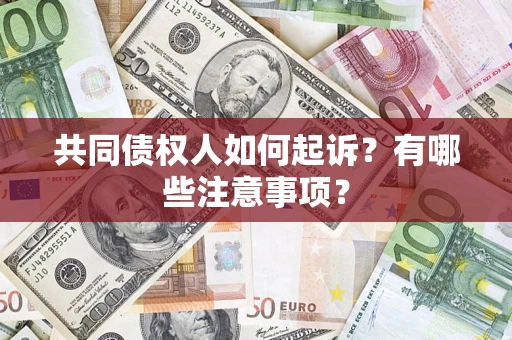 武汉共同债权人如何起诉？有哪些注意事项？